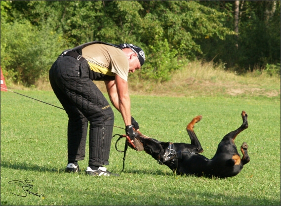 Summer training camp - Jelenec - 2007